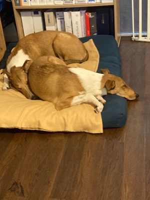 We love office-sleep!